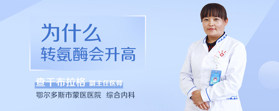 为什么转氨酶会升高