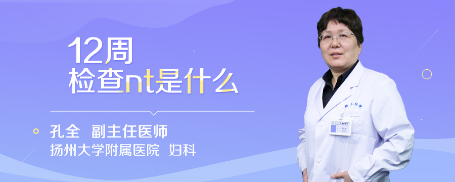 12周检查nt是什么