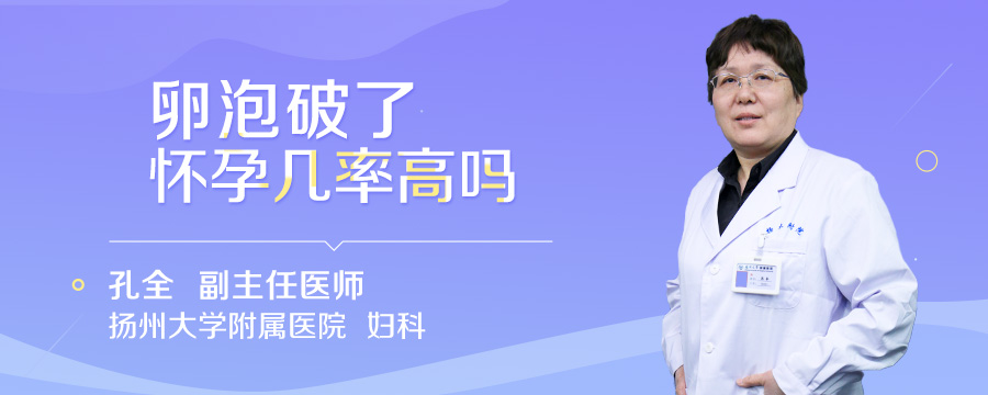卵泡破了怀孕几率高吗