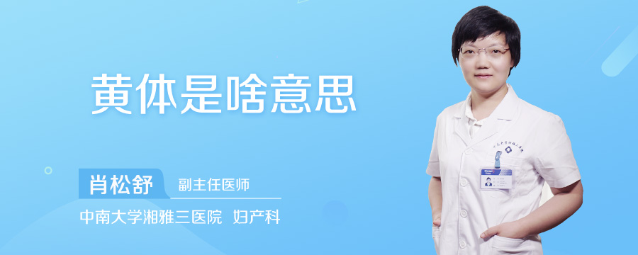 黄体是啥意思