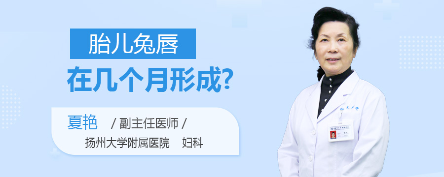 胎儿兔唇在几个月形成
