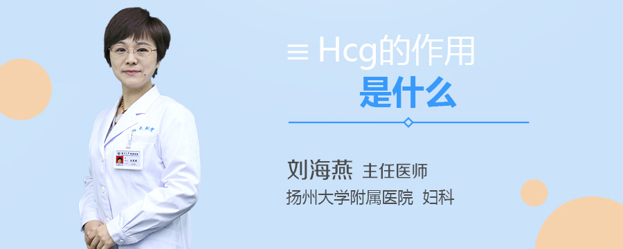 Hcg的作用是什么
