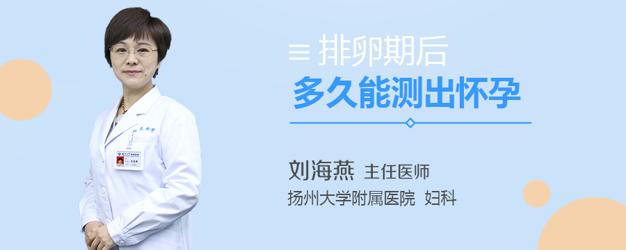 排卵期后多久能测出怀孕
