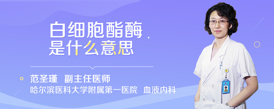 白细胞酯酶是什么意思