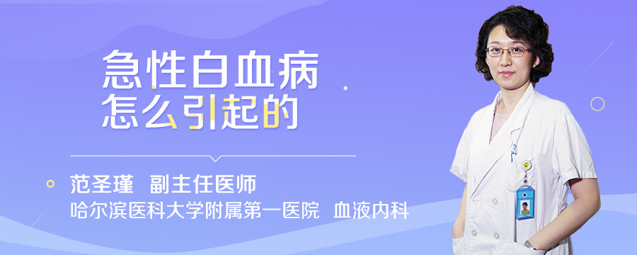 急性白血病怎么引起的