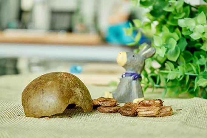 哮喘咳嗽也算是一种老毛病了，很多人是反复发作