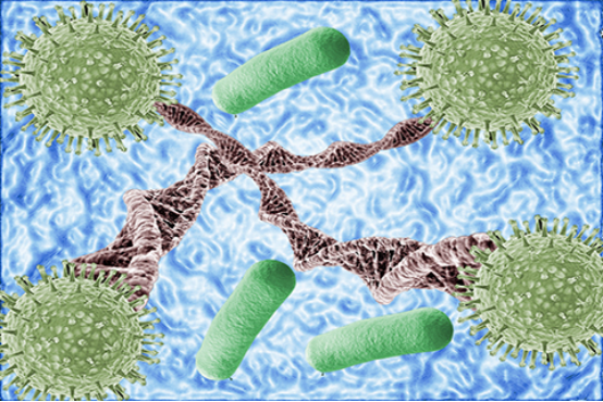 肾小管酸中毒,是由于各种病因导致肾脏的酸化功能出现障碍的一种临床综合征 肾小管酸中毒,是由于各种病因导致肾脏的酸化功能出现障碍的一种临床综合征