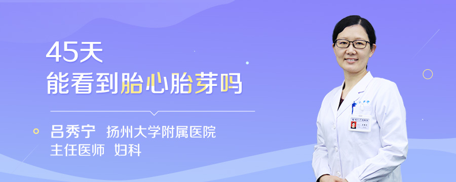45天能看到胎心胎芽吗