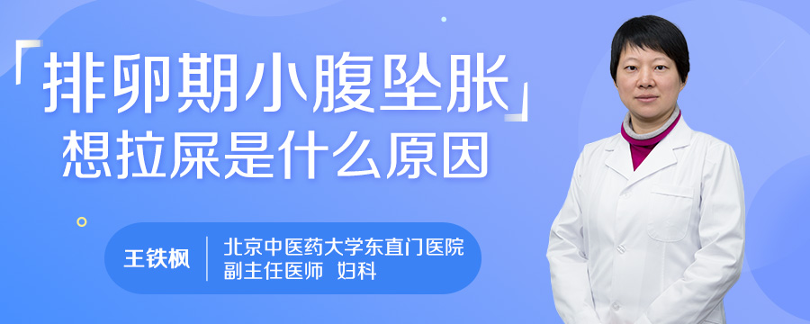 排卵期小腹坠胀想拉屎是什么原因