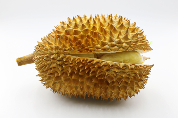 游客在泰国同食榴莲和牛奶，最终中毒而死