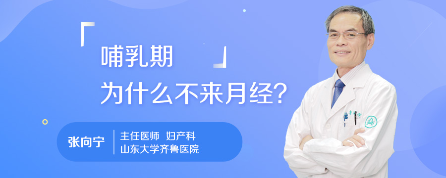 哺乳期为什么不来月经