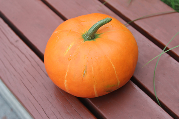 南瓜是常见的一种瓜类，那么拉肚子的情况下可以吃南瓜吗