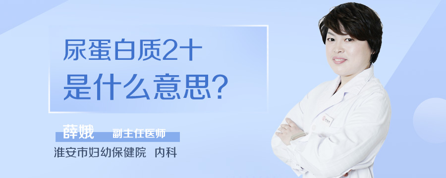 尿蛋白质2十是什么意思