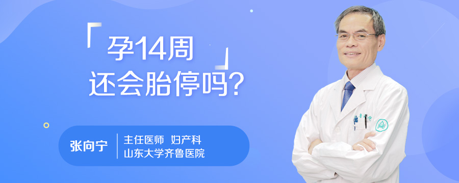 孕14周还会胎停吗