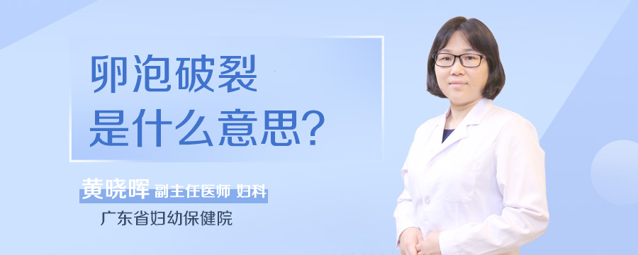 卵泡破裂是什么意思