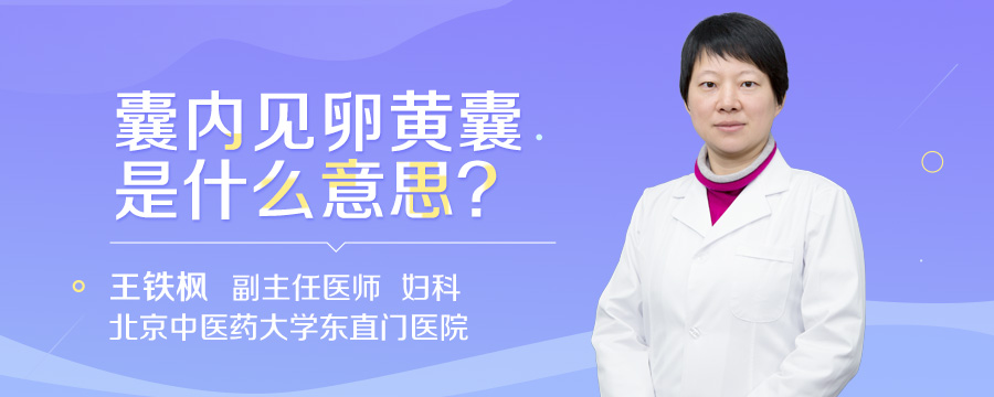 囊内见卵黄囊是什么意思