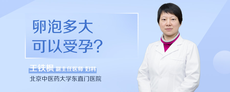 卵泡多大可以受孕