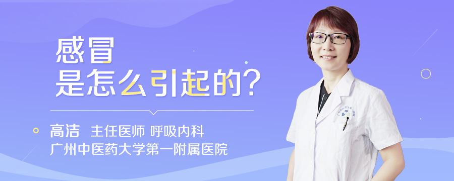 感冒是怎么引起的