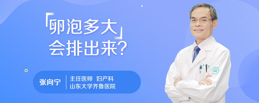卵泡多大会排出来