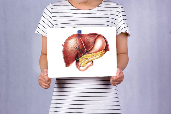 肝脏对人体非常的重要,是人体的解毒器官 肝脏对人体非常的重要,是人体的解毒器官