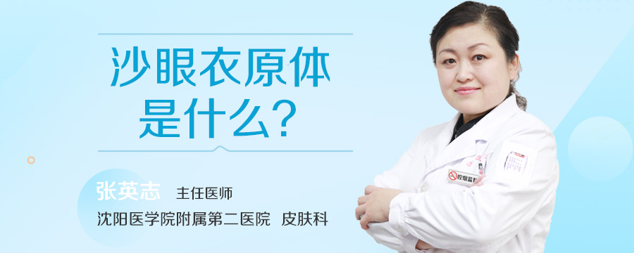 沙眼衣原体是什么