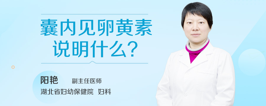 囊内见卵黄素说明什么