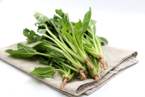 豆腐菠菜一起吃能够导致结石，实在是太不科学了