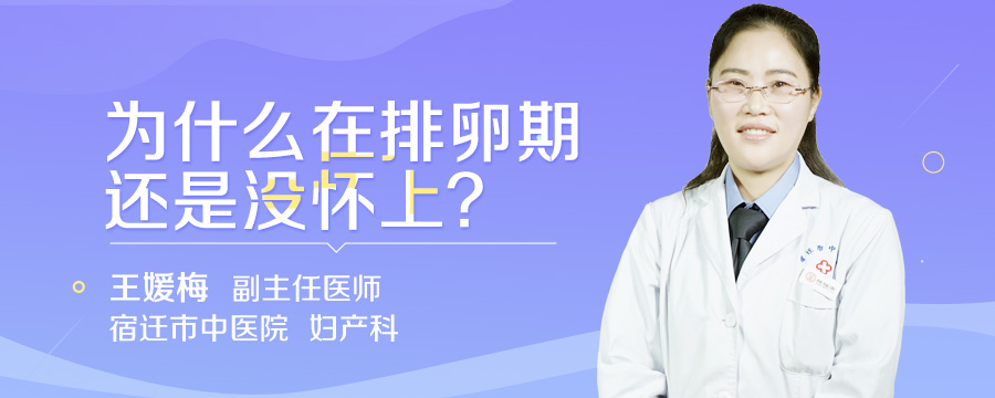 为什么在排卵期还是没怀上