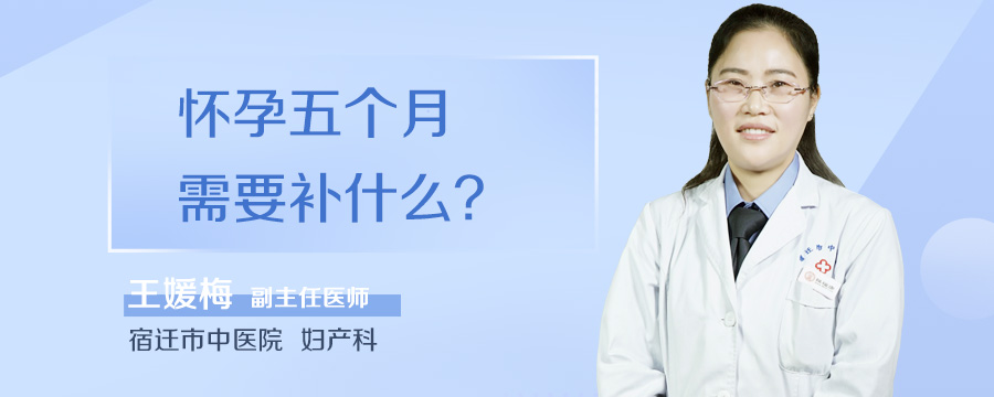 怀孕五个月需要补什么