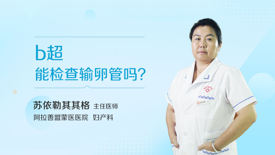 b超能检查输卵管吗