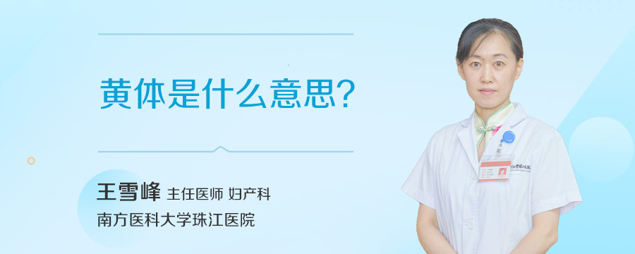 黄体是什么意思