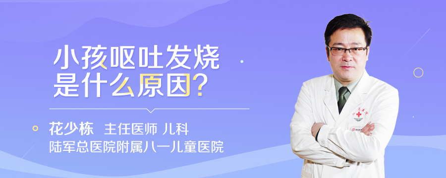 小孩呕吐发烧是什么原因