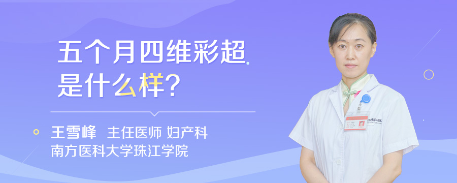 五个月四维彩超是什么样
