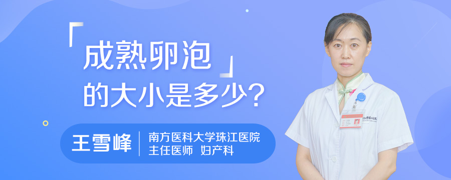 成熟卵泡的大小是多少