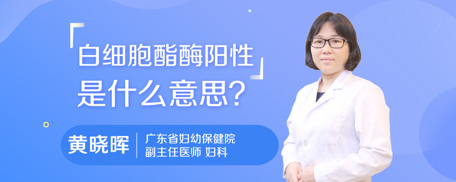 白细胞酯酶阳性是什么意思