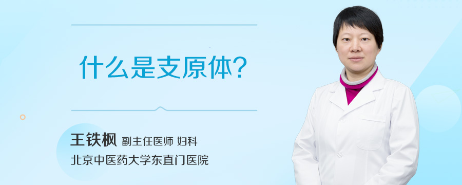 什么是支原体