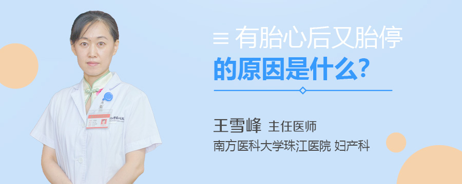 有胎心后又胎停的原因是什么