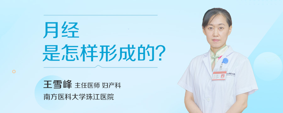 月经是怎样形成的