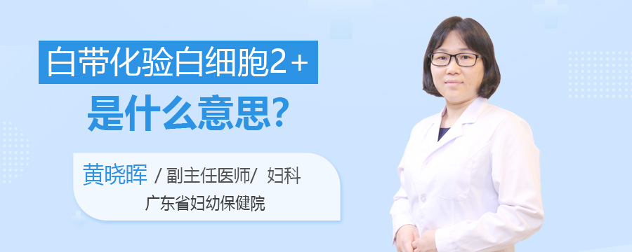 白带化验白细胞2+是什么意思