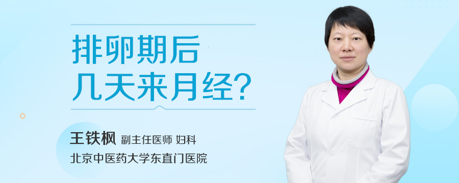 排卵期后几天来月经