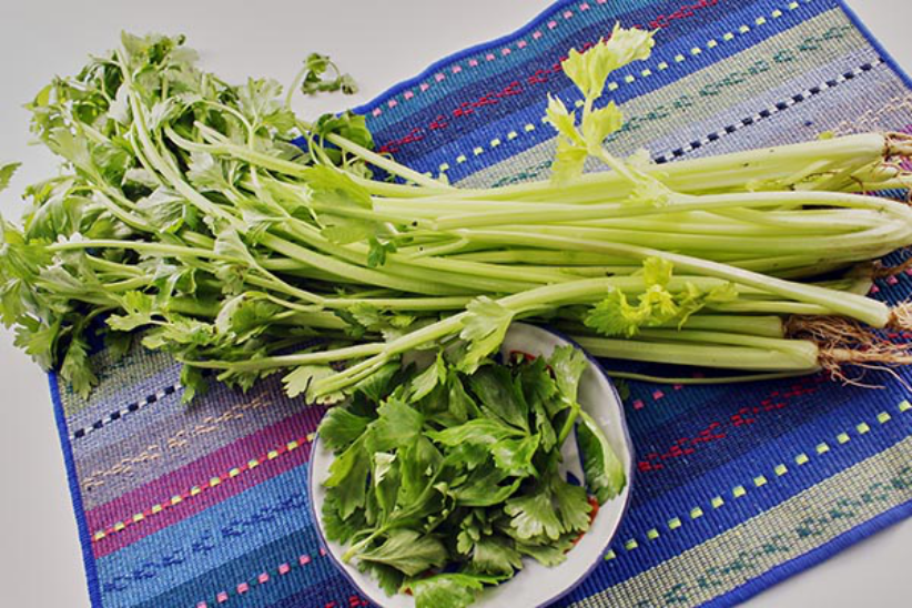 芹菜是我们平时生活中一种很常见的蔬菜，它能够帮助清热解毒，同时也能够帮助降压，促进肠胃的蠕动，对于人们的身体来说是一种很好的蔬菜。