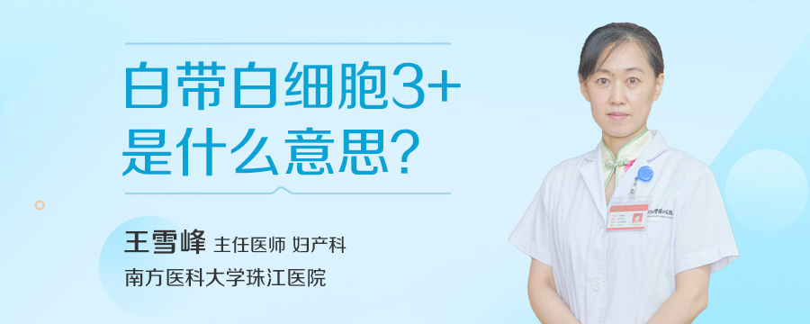 白带白细胞3+是什么意思
