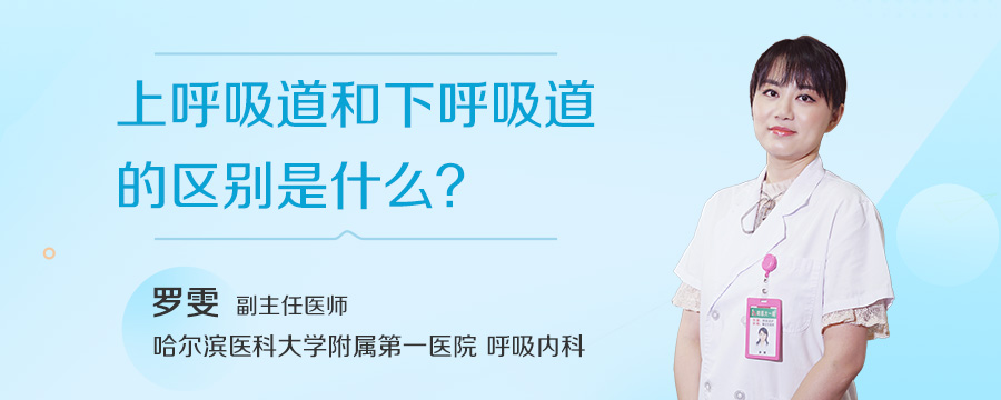 上呼吸道和下呼吸道的区别是什么