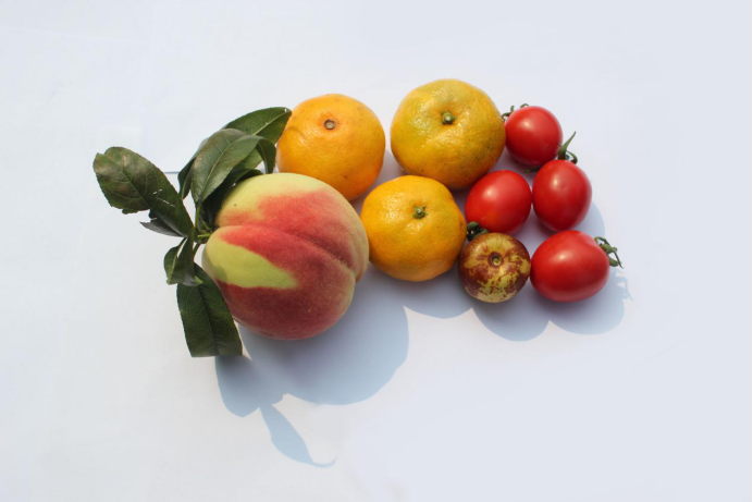 吃水果会长胖吗