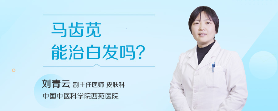 马齿苋能治白发吗