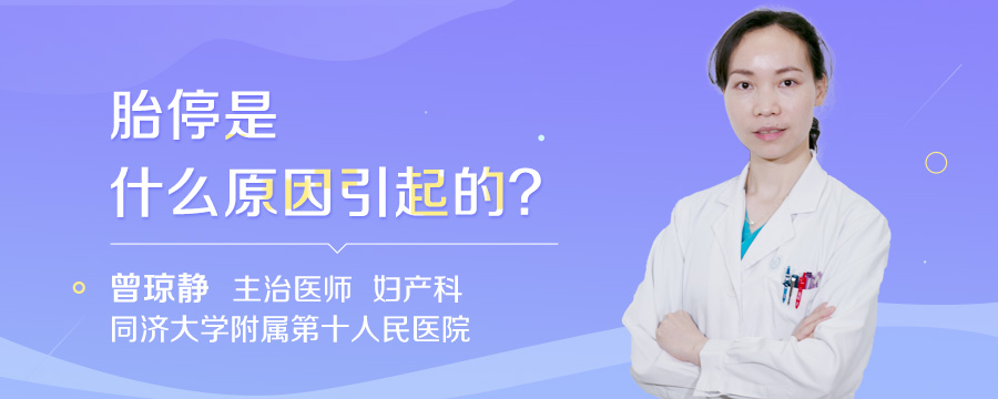 胎停是什么原因引起的