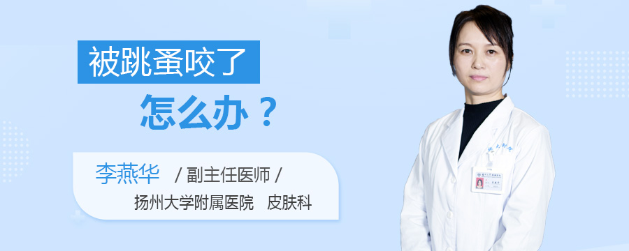 被跳蚤咬了怎么办