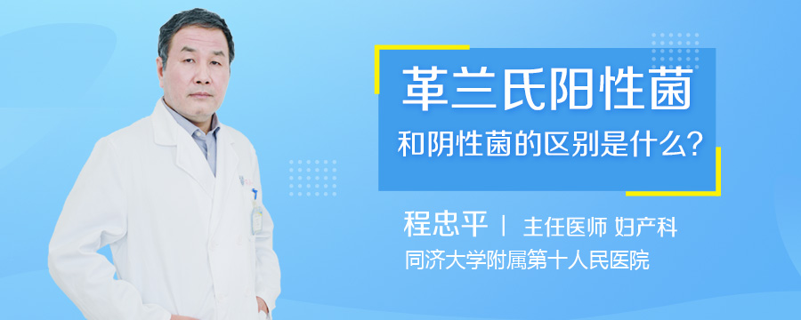 革兰氏阳性菌和阴性菌的区别是什么