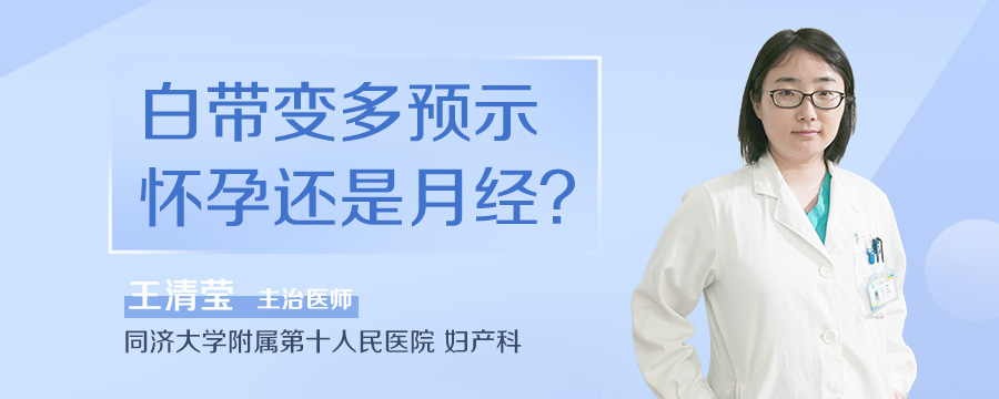 白带变多预示怀孕还是月经