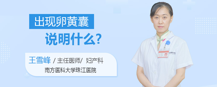 出现卵黄囊说明什么